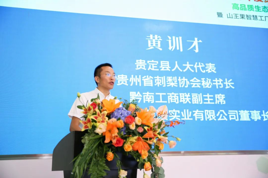 山王果 山王果